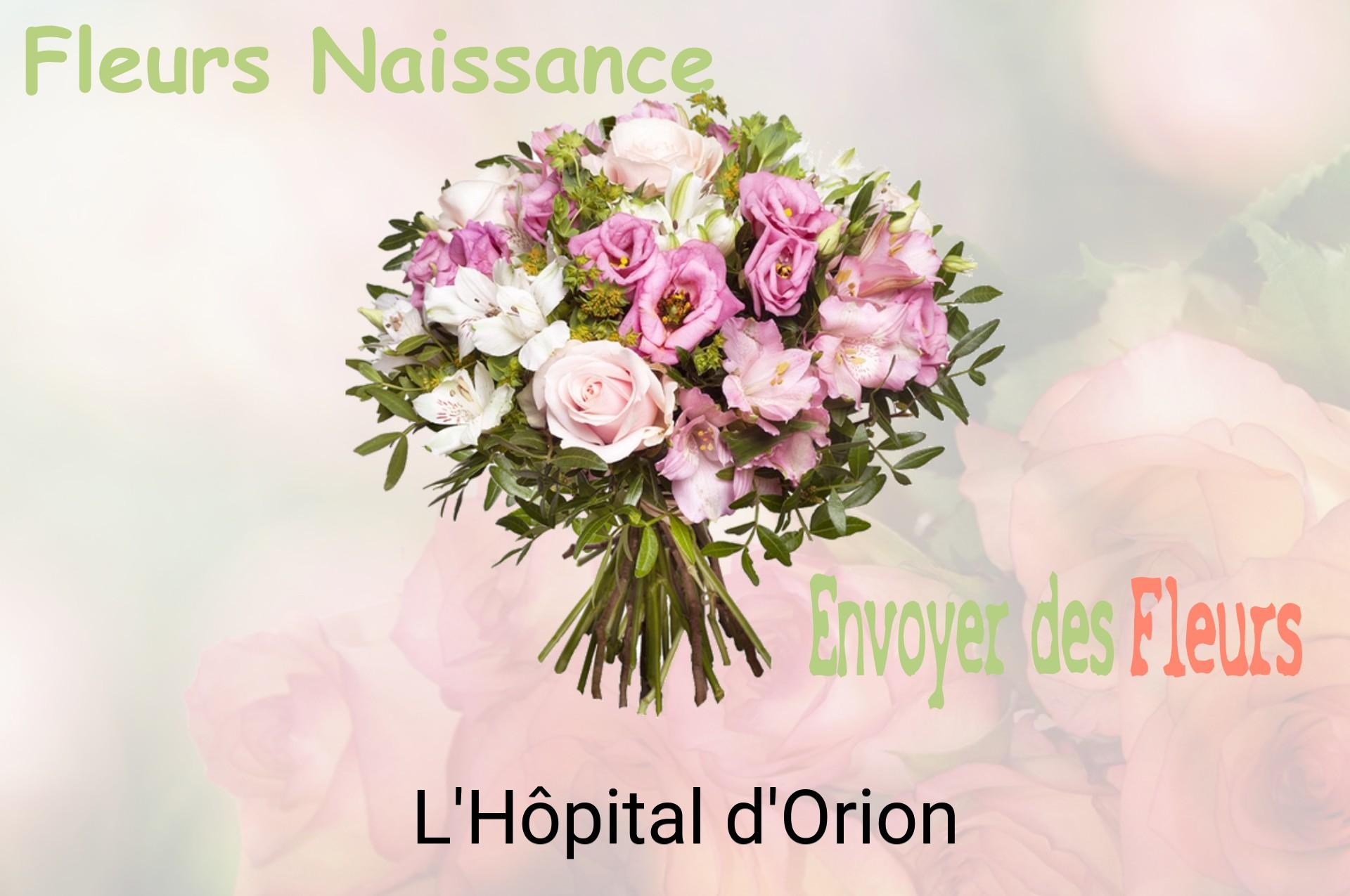 Bouquet de fleurs de naissance livré à L'Hôpital-d'Orion